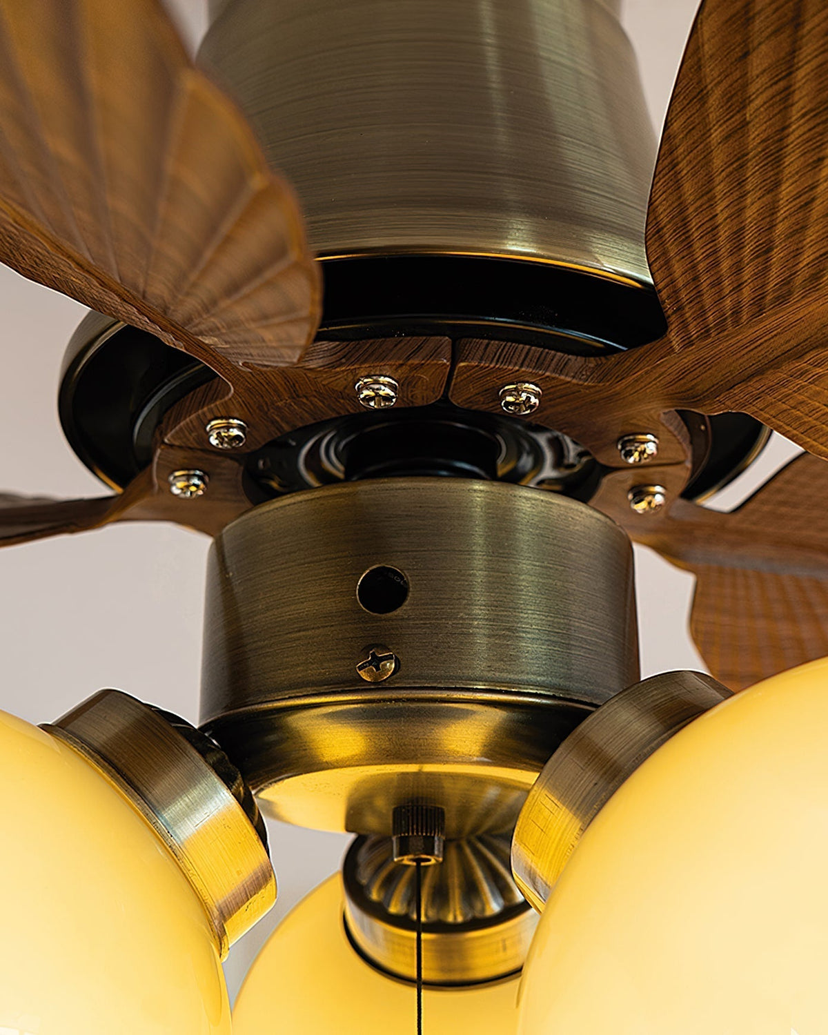 Miraneon Ceiling Fan Light