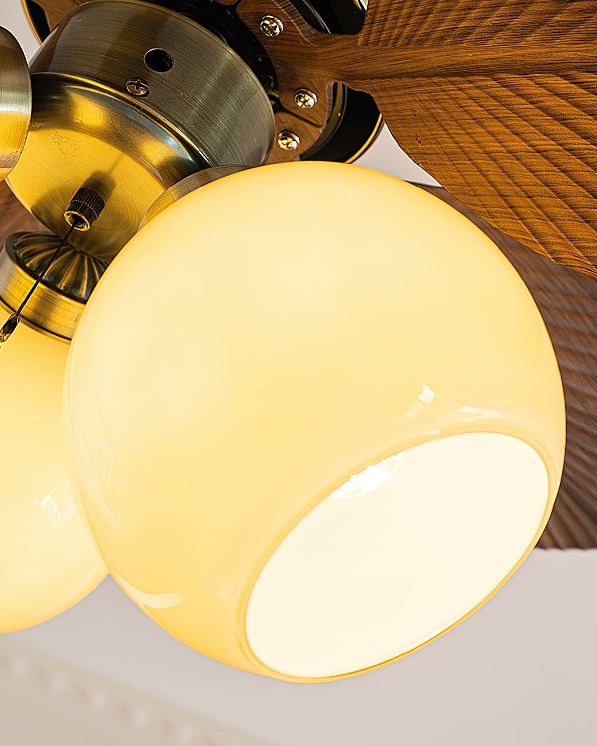 Miraneon Ceiling Fan Light