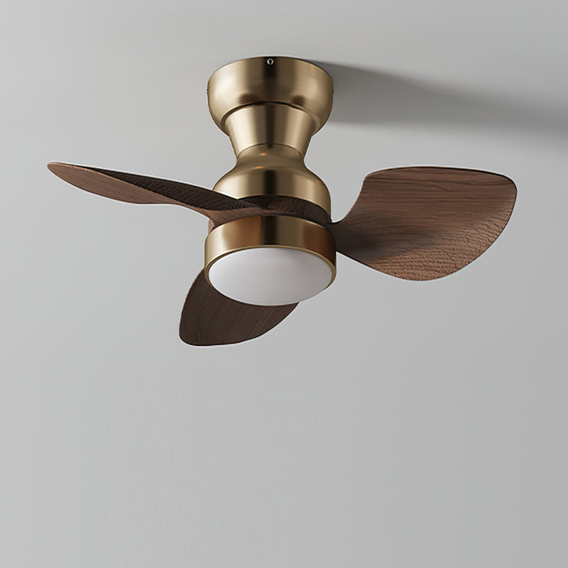 Aerivo Ceiling Fan Light