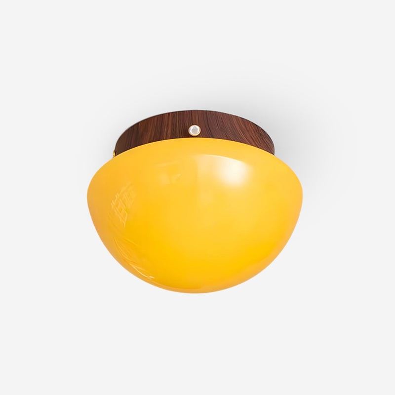 Rivinise Dome Ceiling Lamp