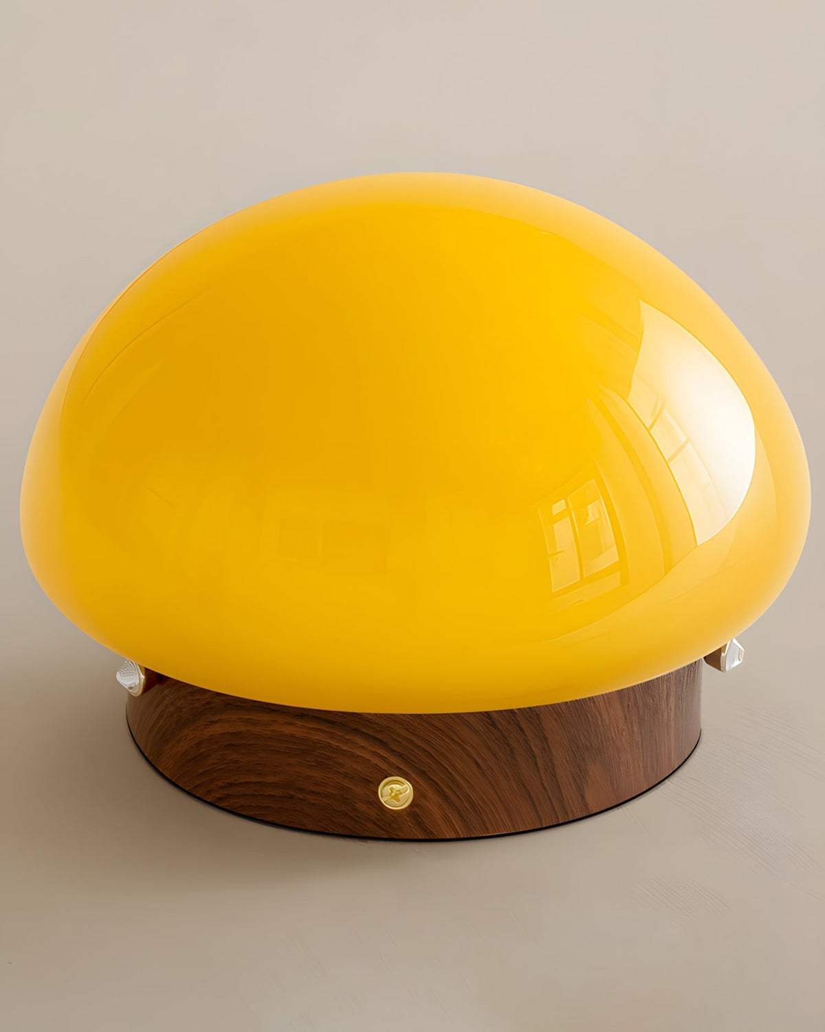 Rivinise Dome Ceiling Lamp
