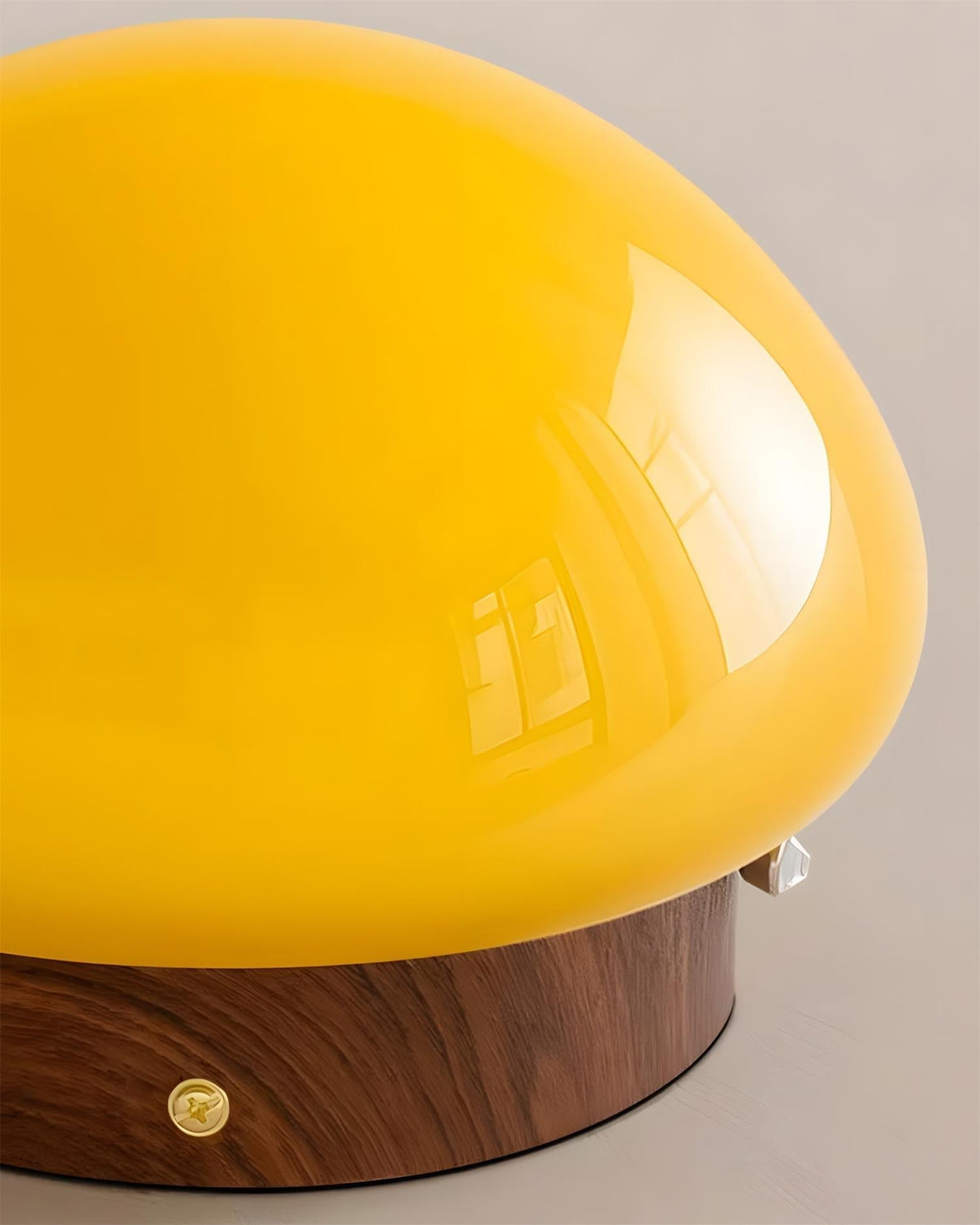 Rivinise Dome Ceiling Lamp