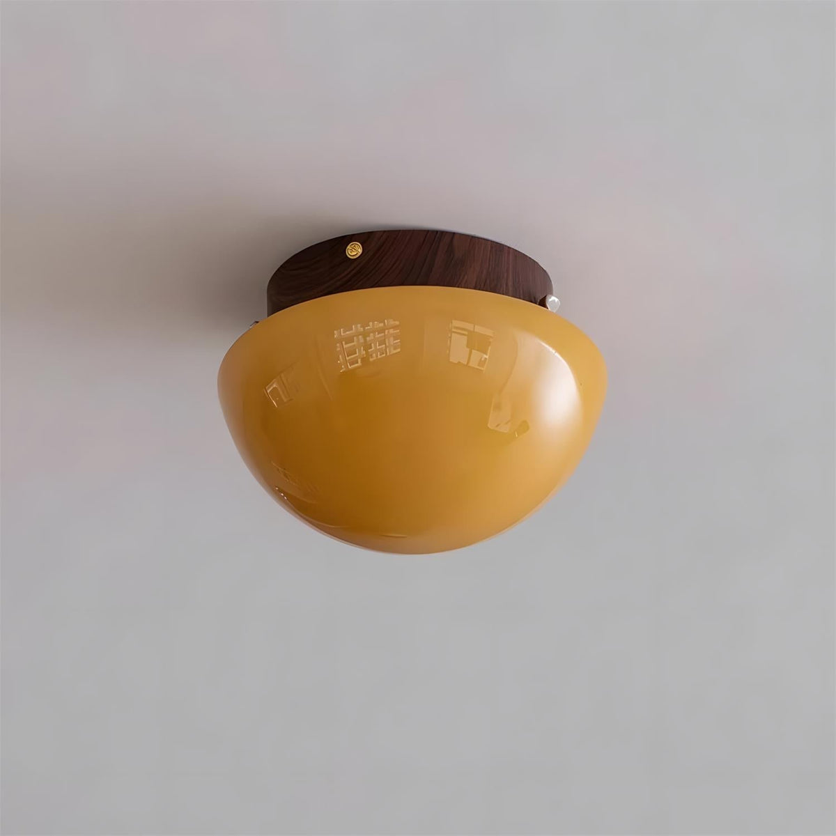 Rivinise Dome Ceiling Lamp