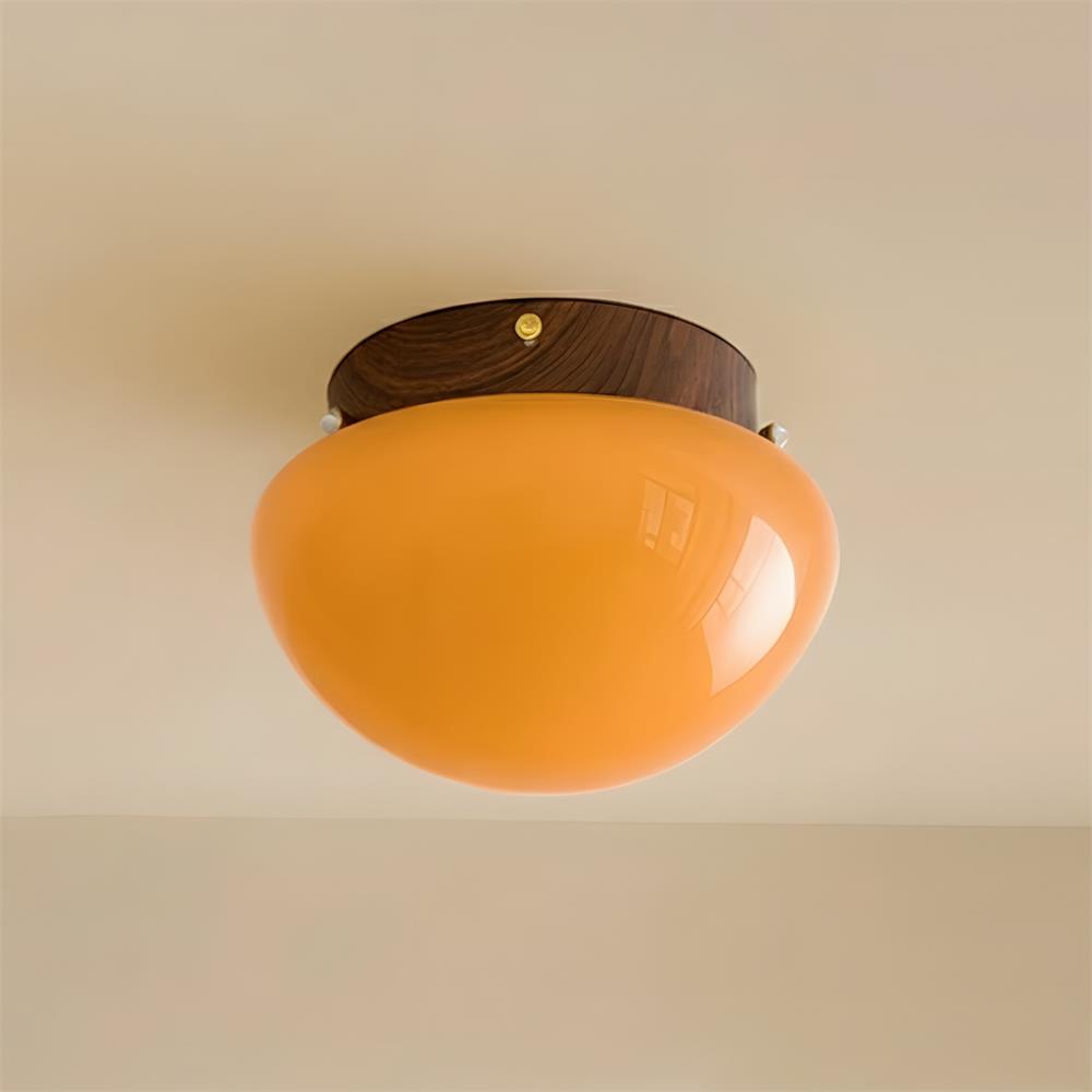 Rivinise Dome Ceiling Lamp