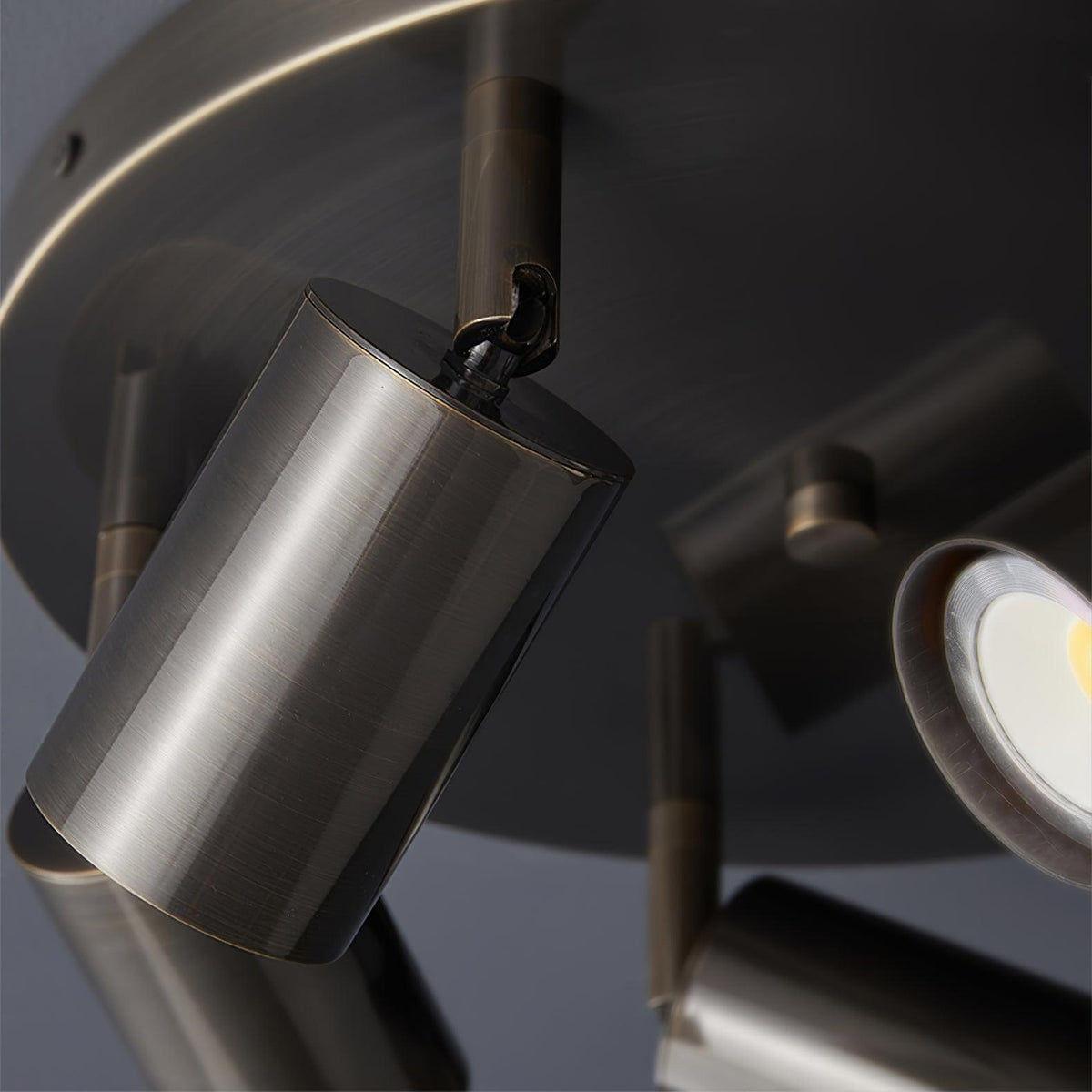 Quin Ceiling Lamp Cylinder Adjustable Contemporary