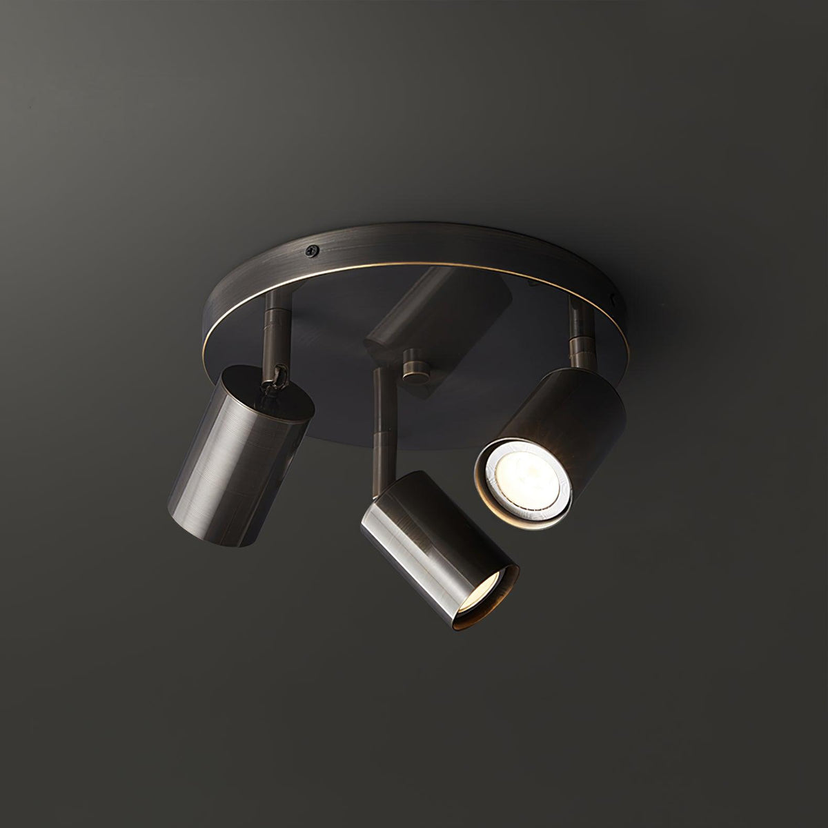 Quin Ceiling Lamp Cylinder Adjustable Contemporary