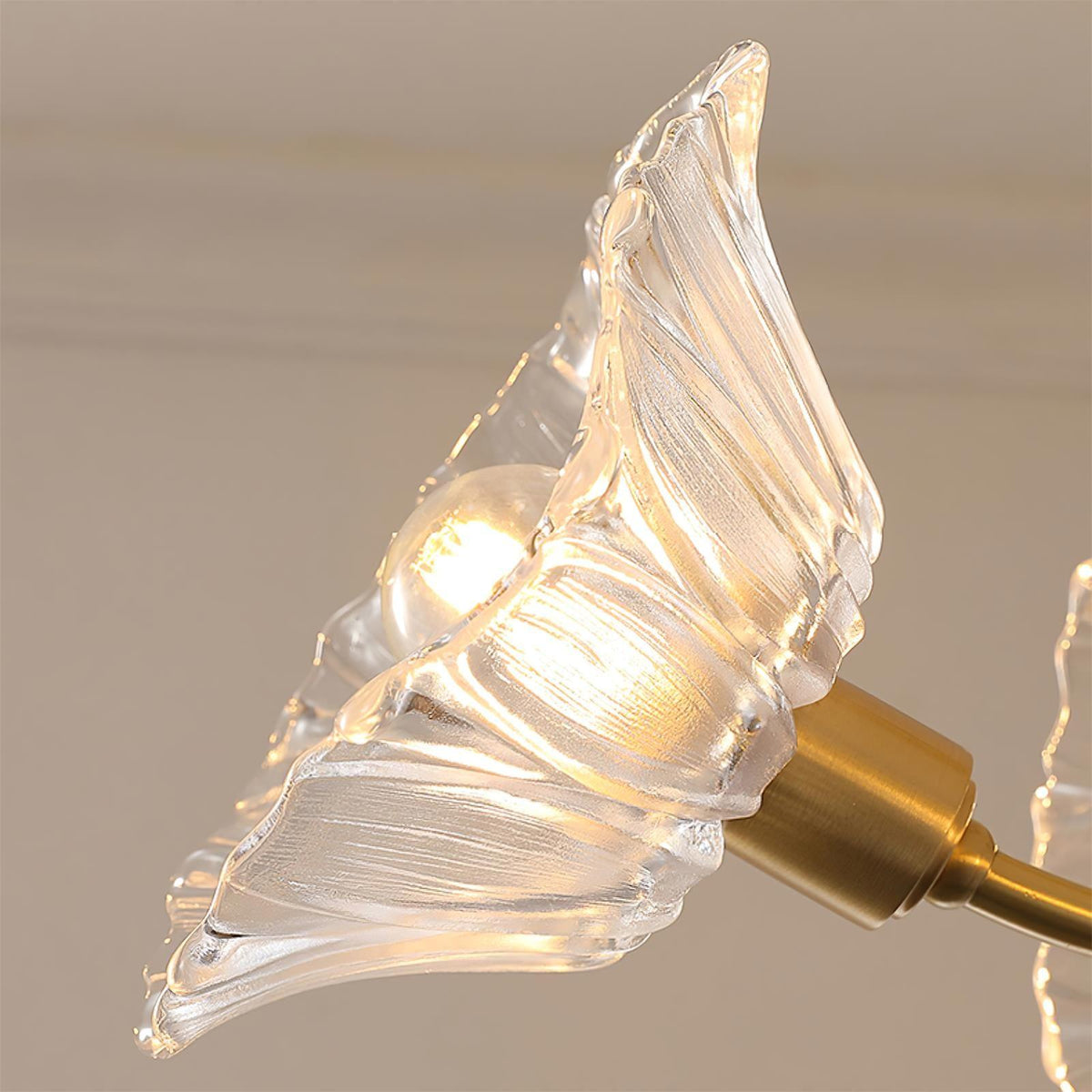 Fife Chandelier Flower Glass with Brass Finish
