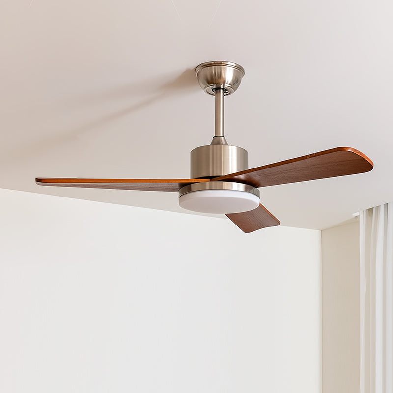 Mireaine Ceiling Fan Light