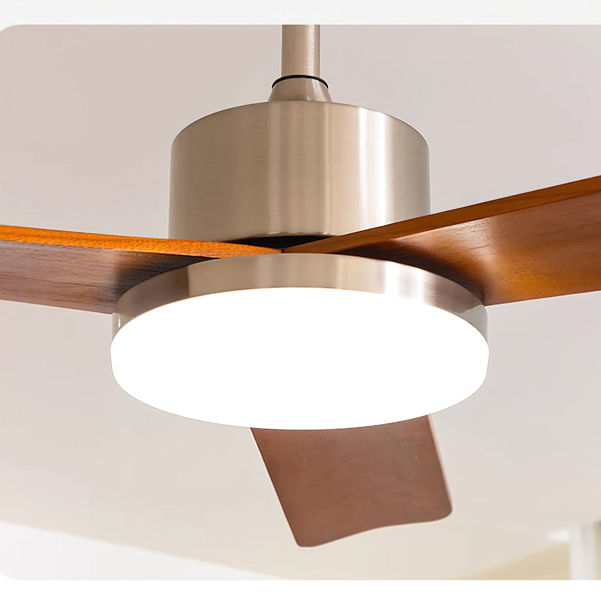 Mireaine Ceiling Fan Light