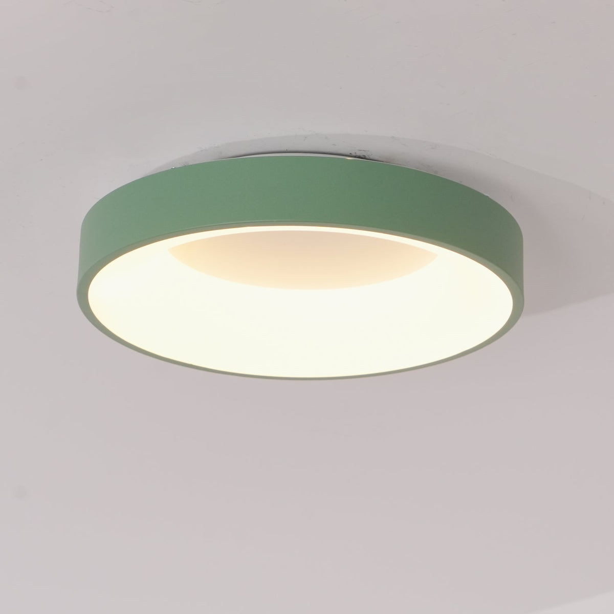 Jareth Ceiling Light Iron Contemporary Green Shade