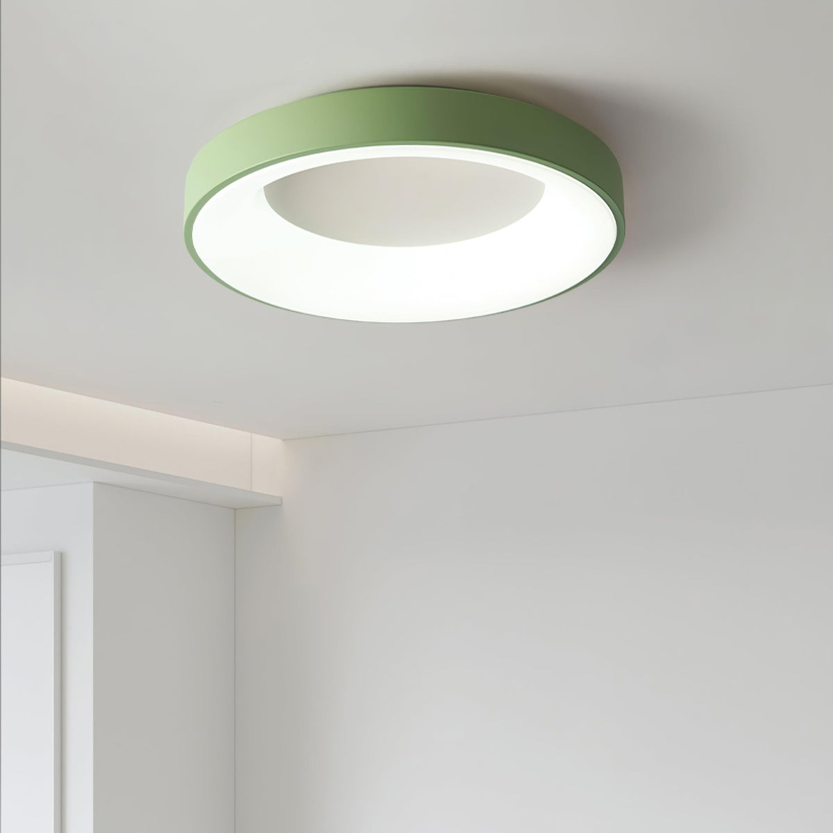Jareth Ceiling Light Iron Contemporary Green Shade