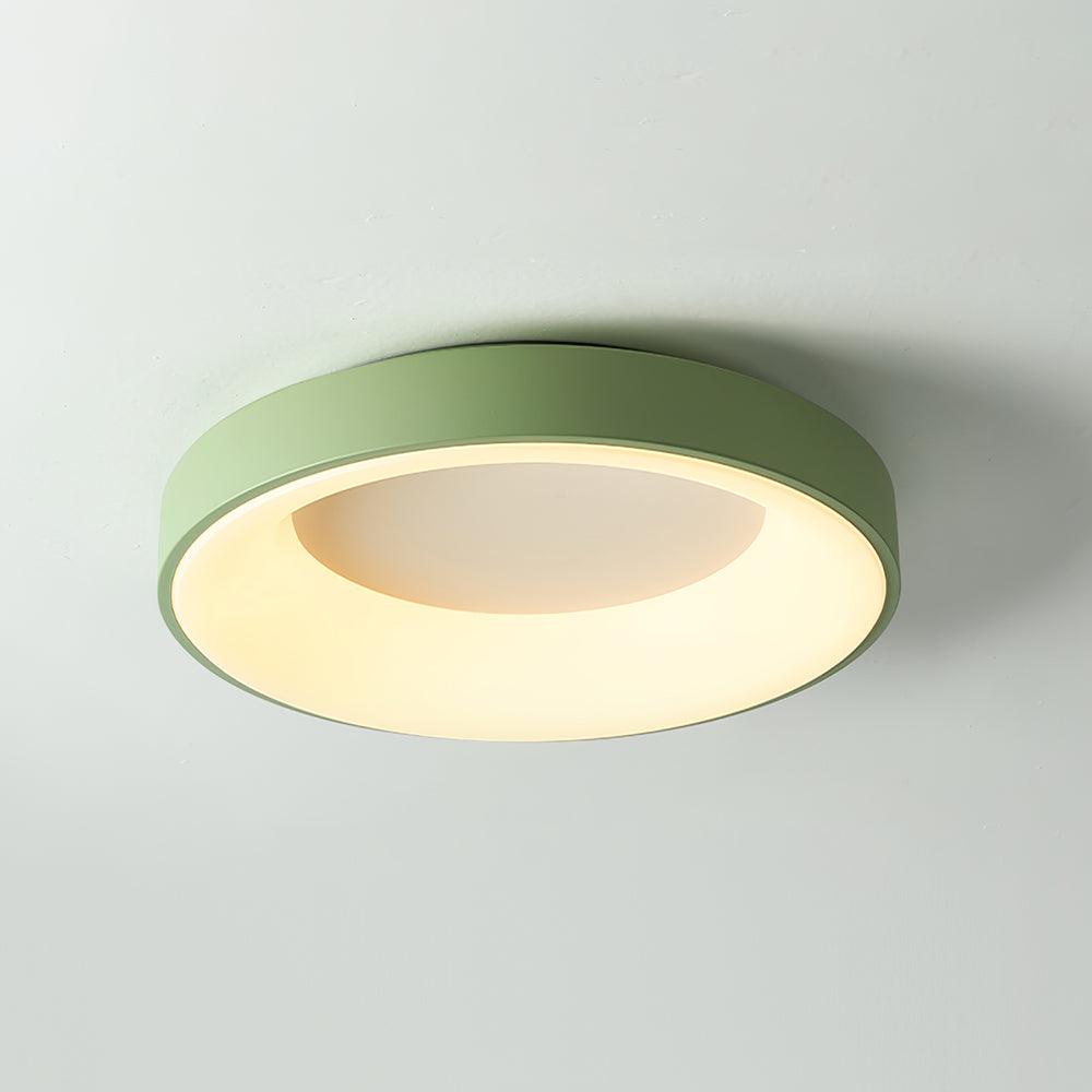 Jareth Ceiling Light Iron Contemporary Green Shade