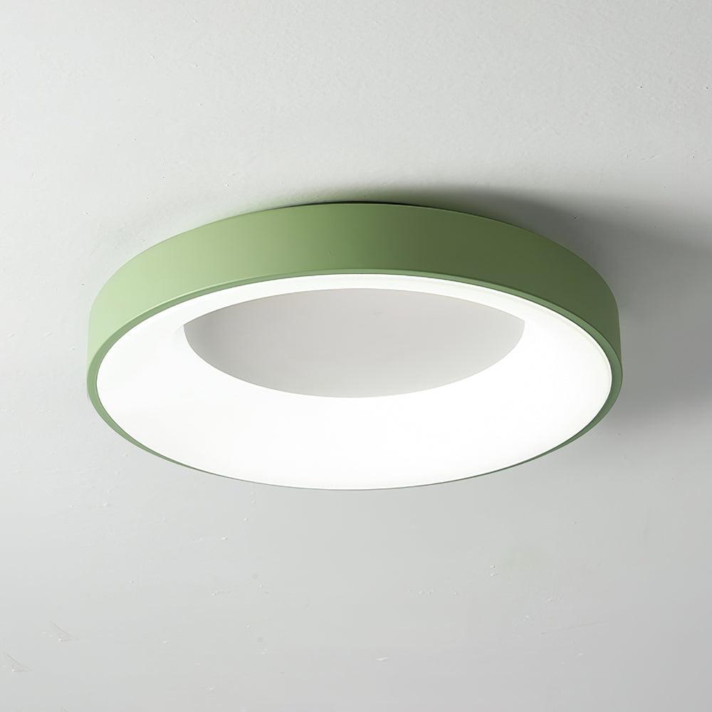 Jareth Ceiling Light Iron Contemporary Green Shade