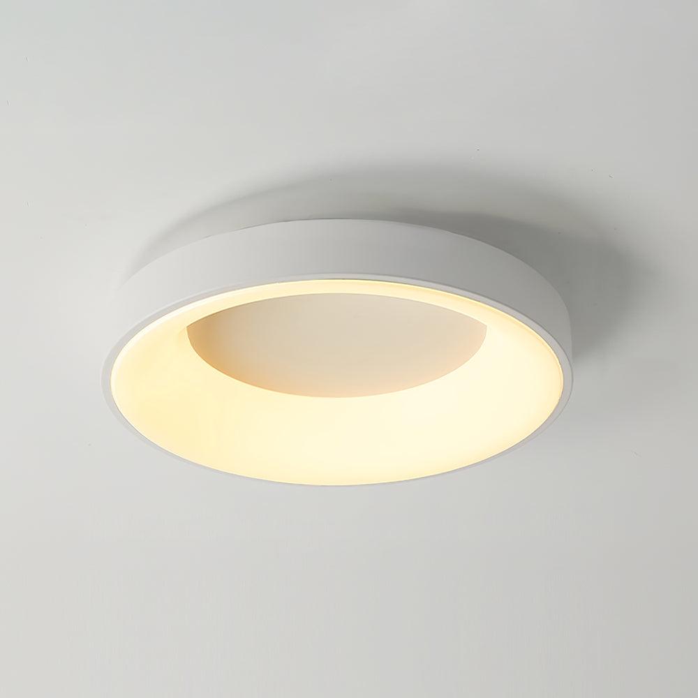 Jareth Ceiling Light Iron Contemporary Green Shade