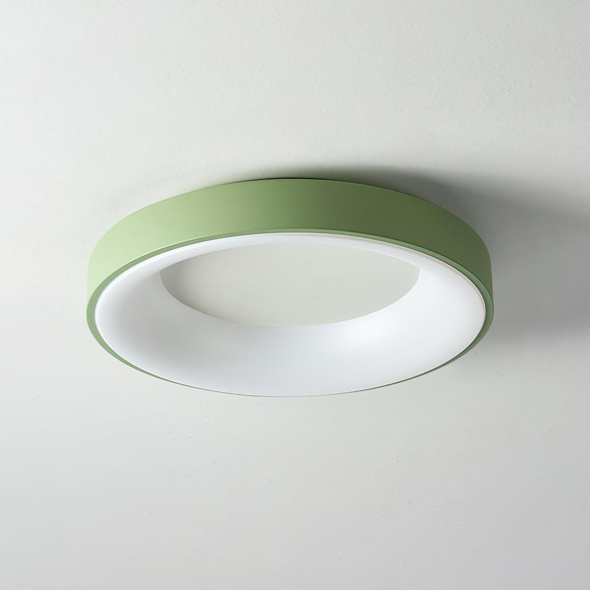 Jareth Ceiling Light Iron Contemporary Green Shade