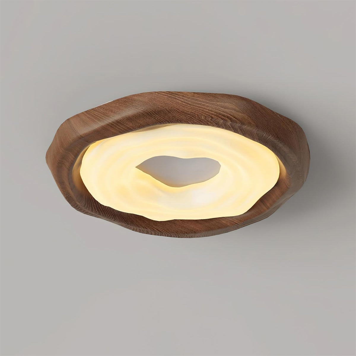 Renanelle Ceiling Light