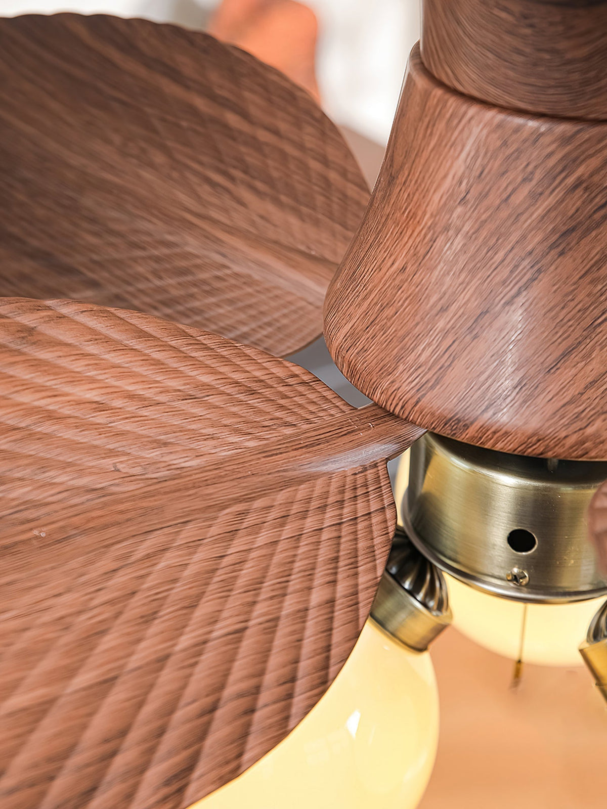 Malibu Ceiling Fan Light