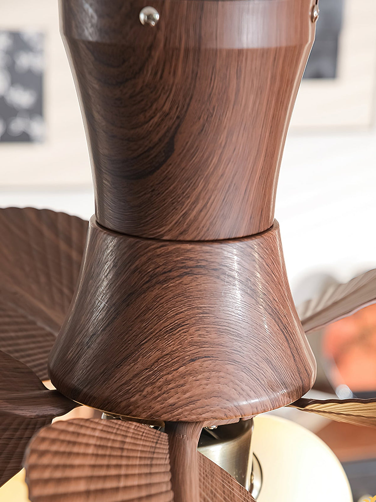 Malibu Ceiling Fan Light