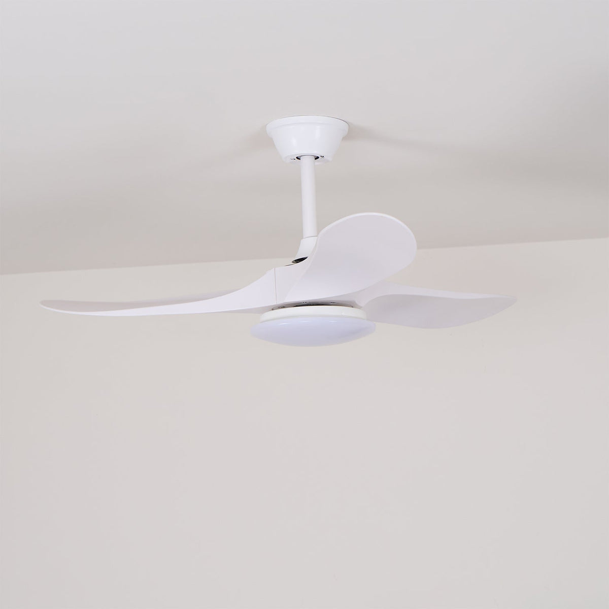 Miriveon Drift Ceiling Fan Light