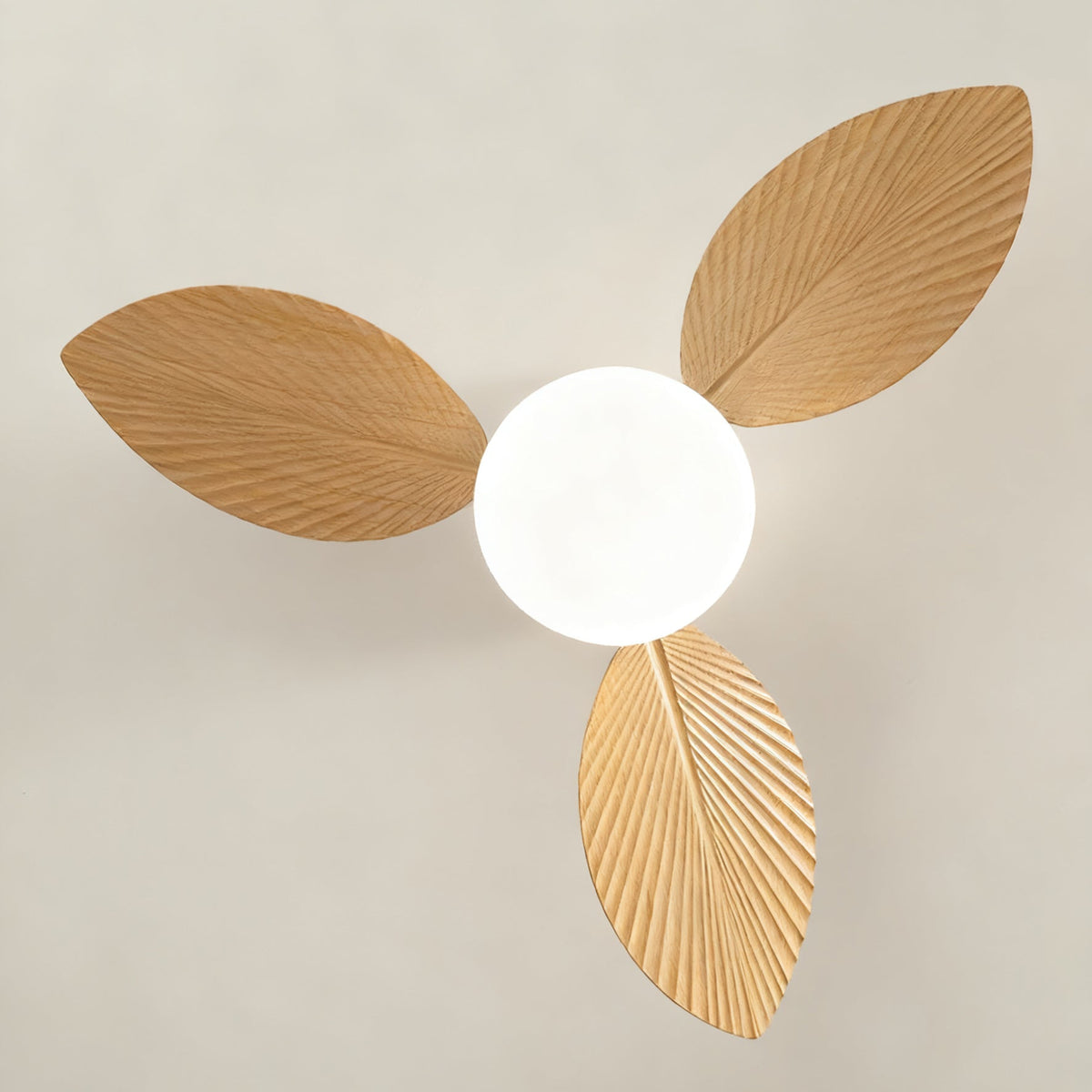 Calirella Ceiling Fan Light
