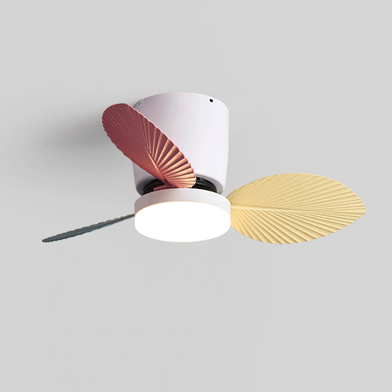 Calirella Ceiling Fan Light