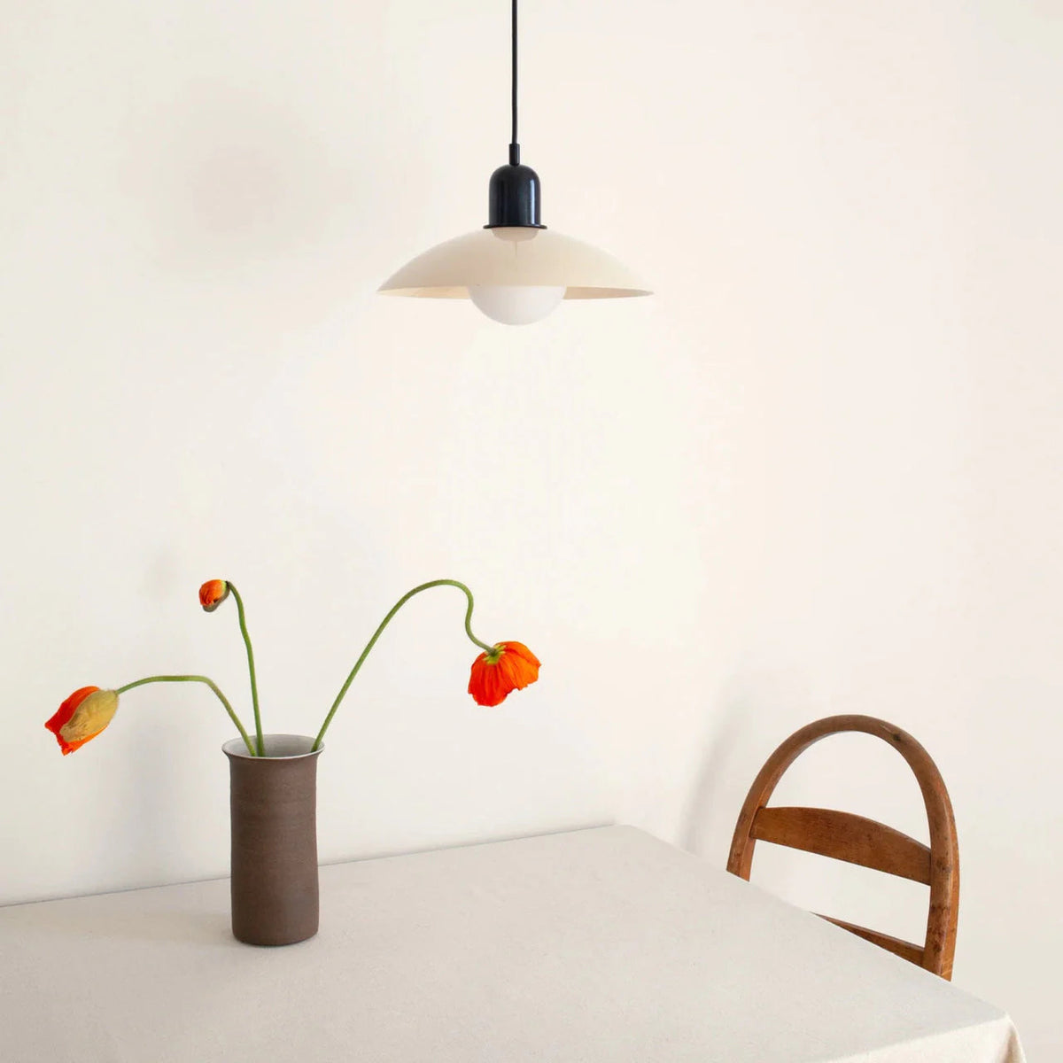 Febibosu Pendant Light Modern Colorful Dome-shaped
