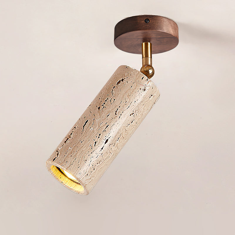 Lumaleon Ceiling Light