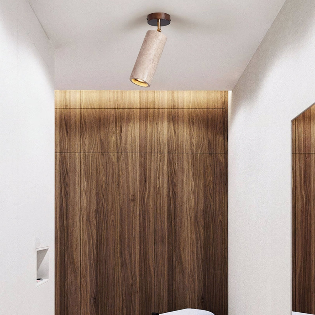 Lumaleon Ceiling Light
