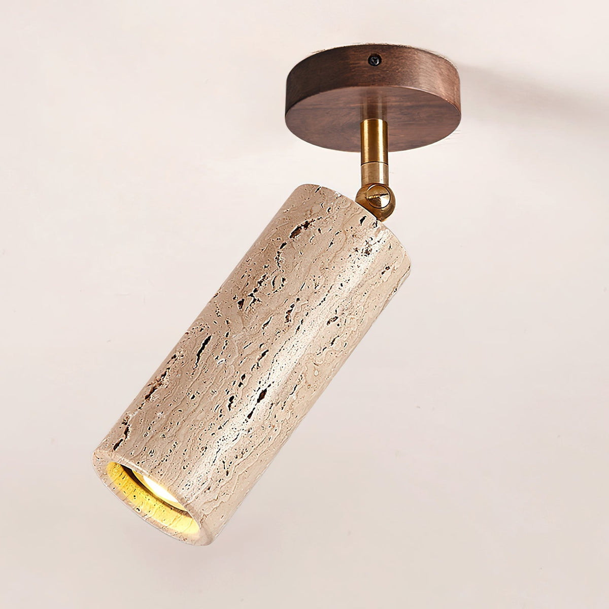 Lumaleon Ceiling Light