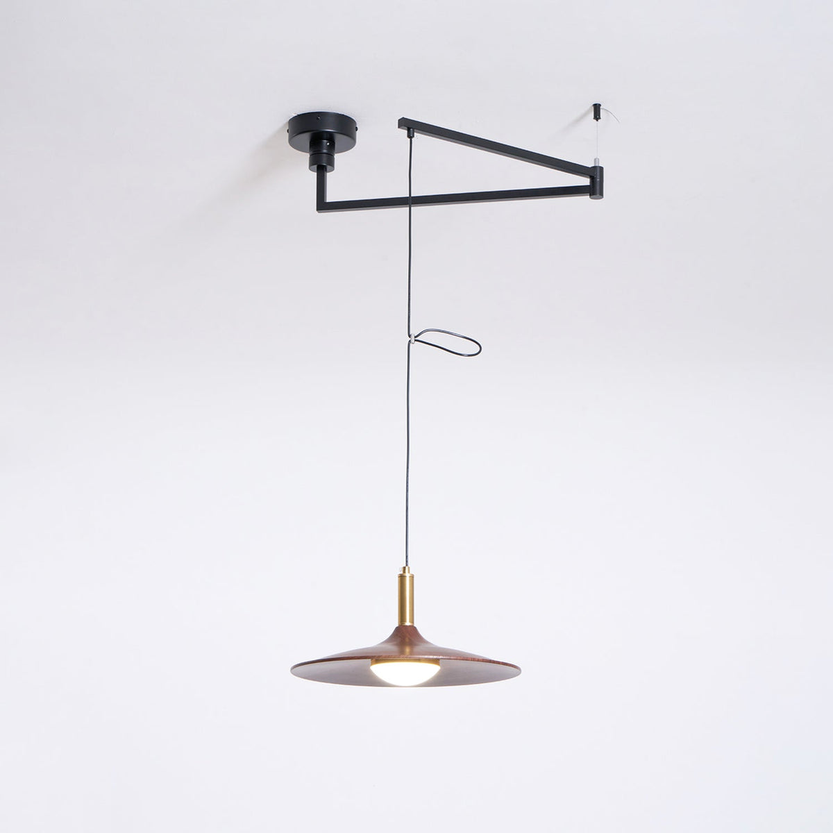 Renalora Crane Swing Arm Pendant Lamp