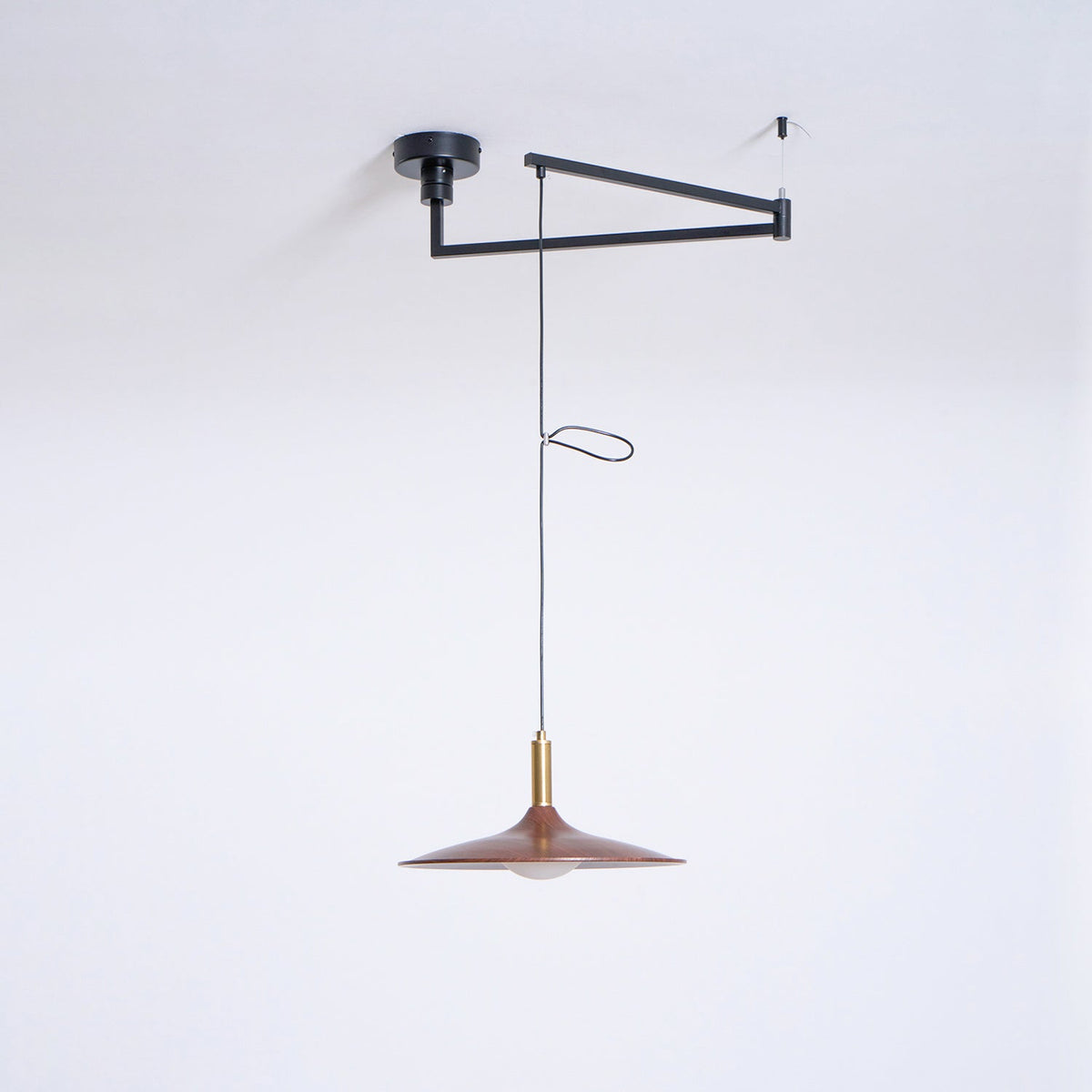 Renalora Crane Swing Arm Pendant Lamp