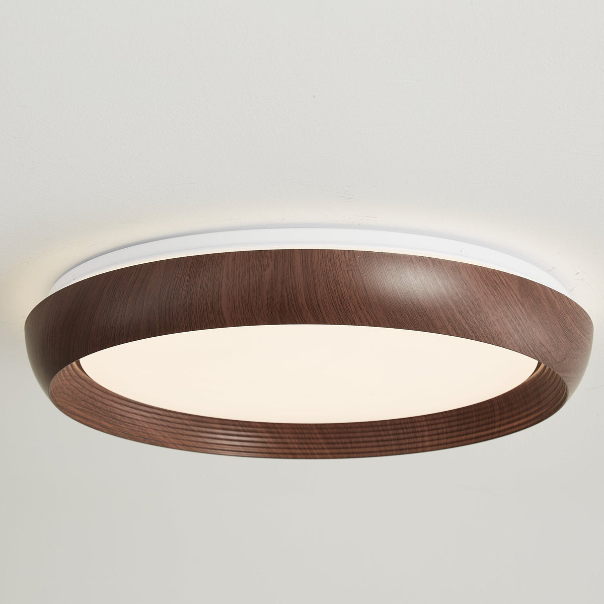 Novera Grain Ring Ceiling Light