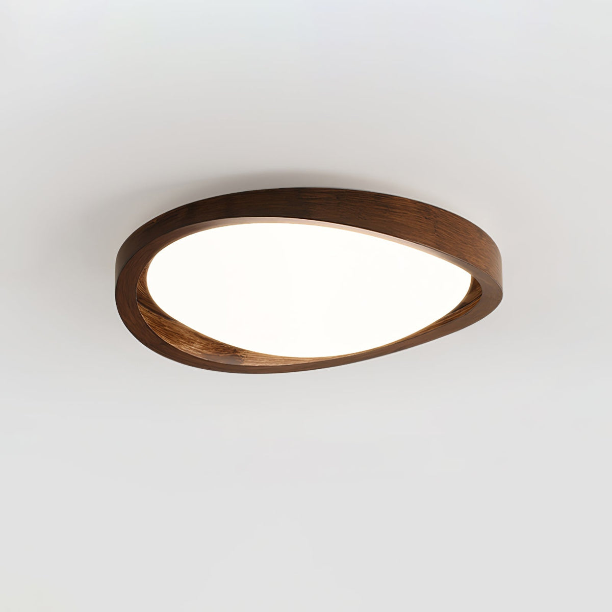 Sylvian Ceiling Light