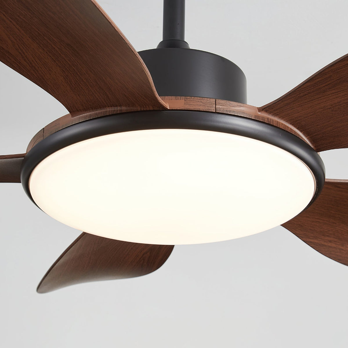 Rivivaine Ceiling Fan Light