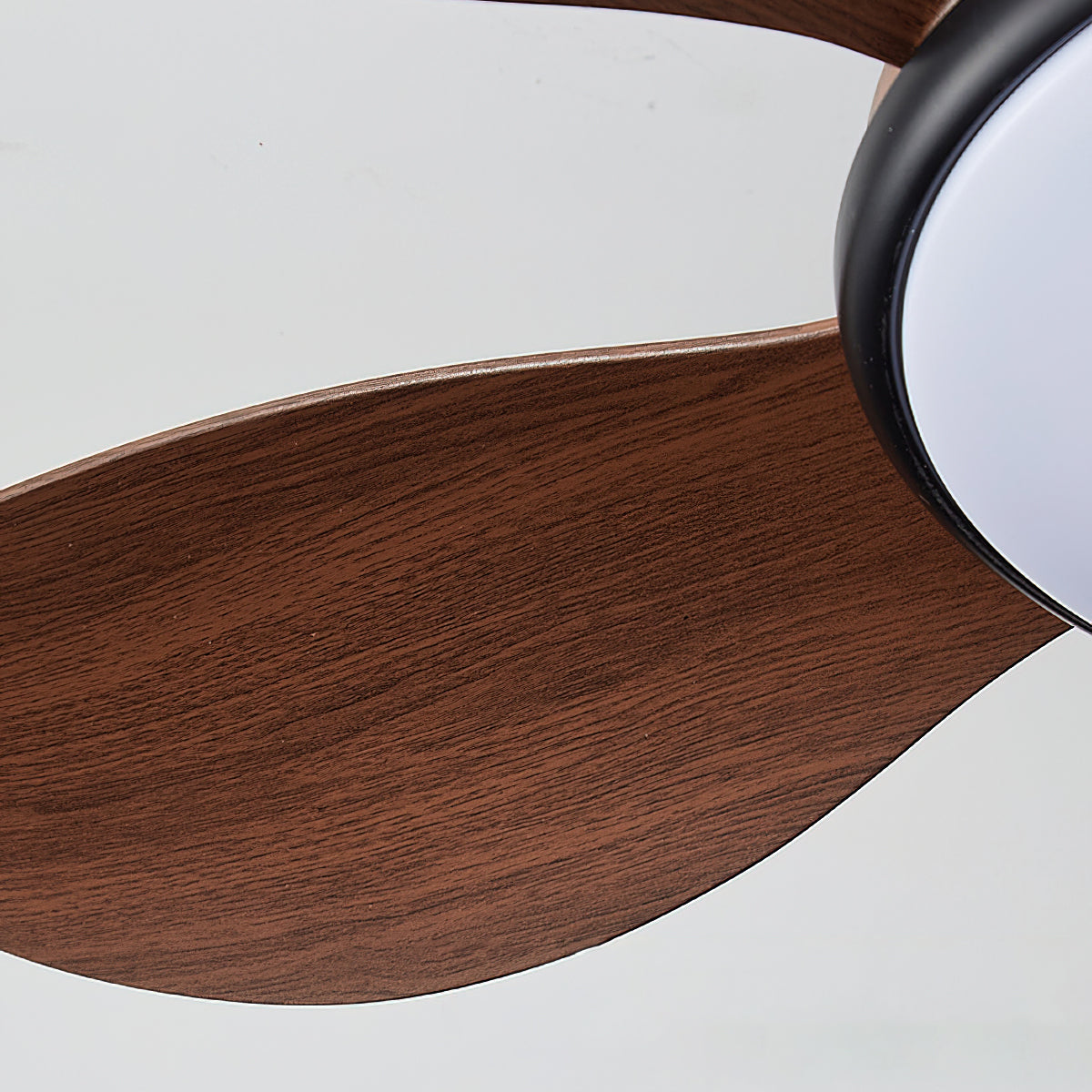 Rivivaine Ceiling Fan Light