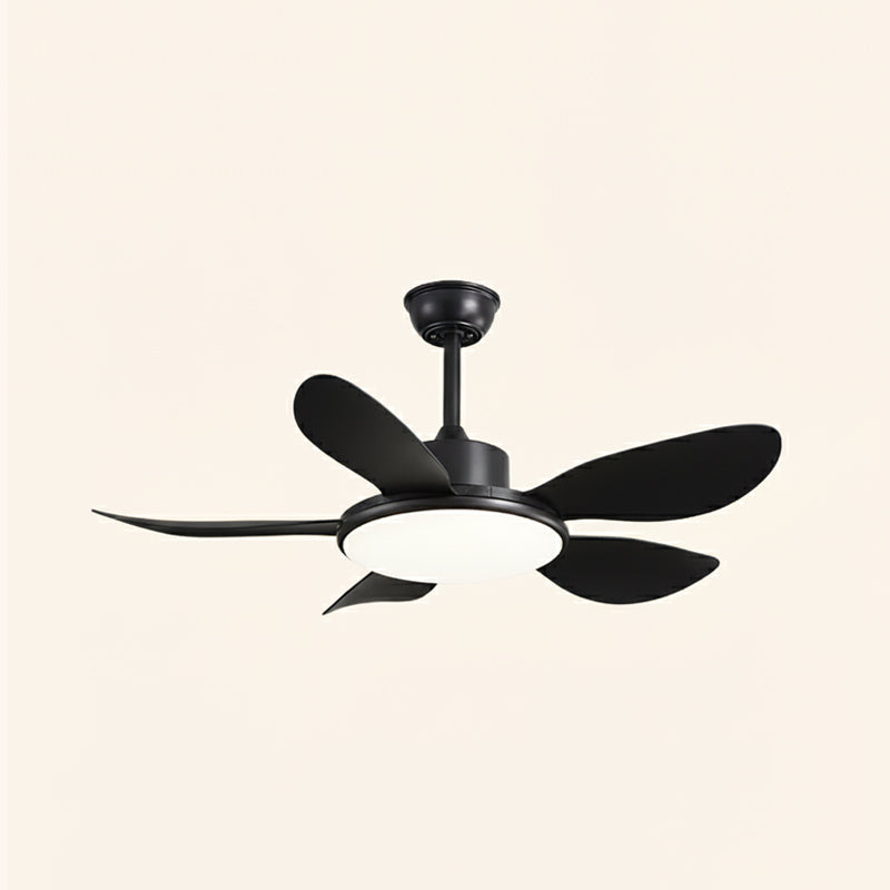 Rivivaine Ceiling Fan Light