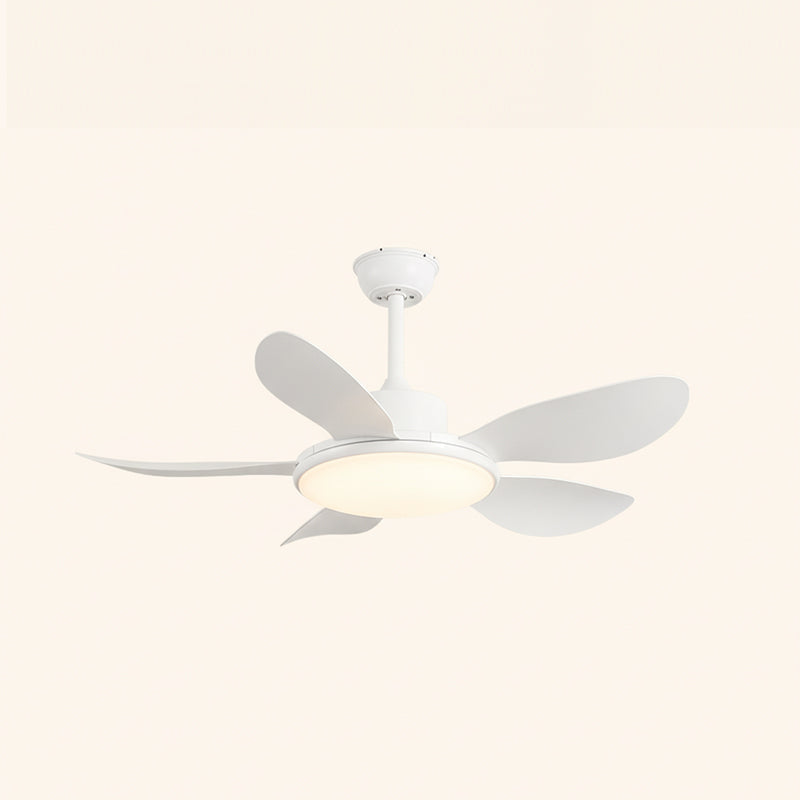 Rivivaine Ceiling Fan Light