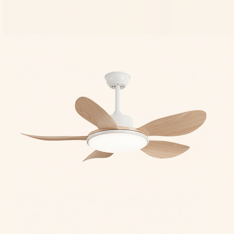 Rivivaine Ceiling Fan Light