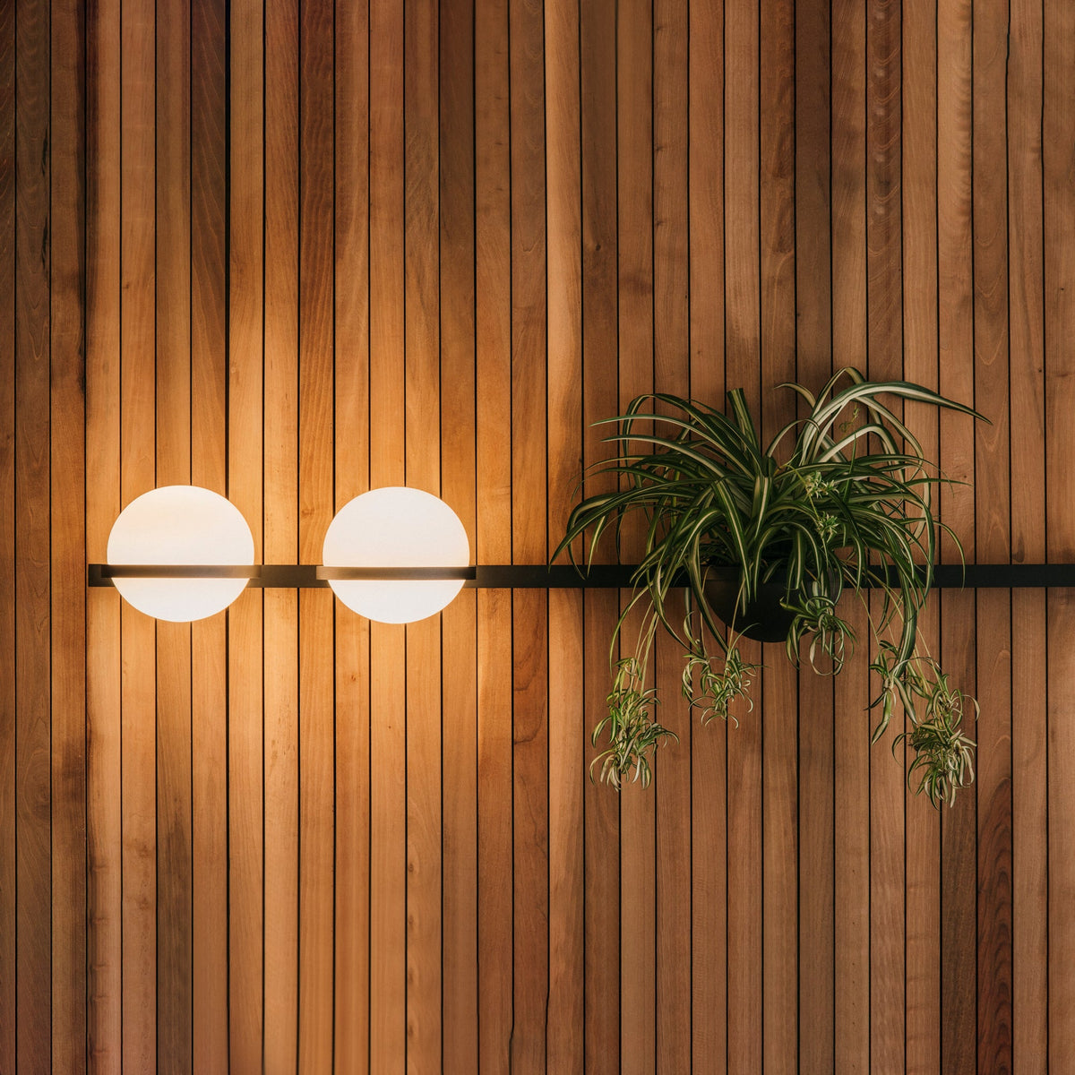 Suren Indoor  Outdoor Wall Light