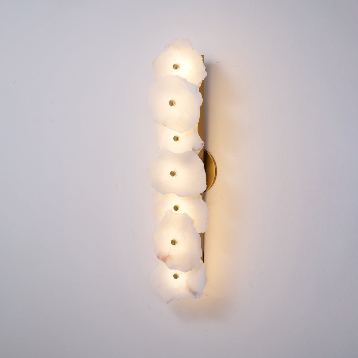 Alaeila Floral Cluster Alabaster Wall Light