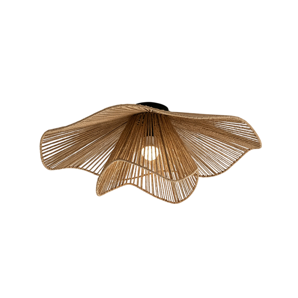Liorariella Ceiling Light