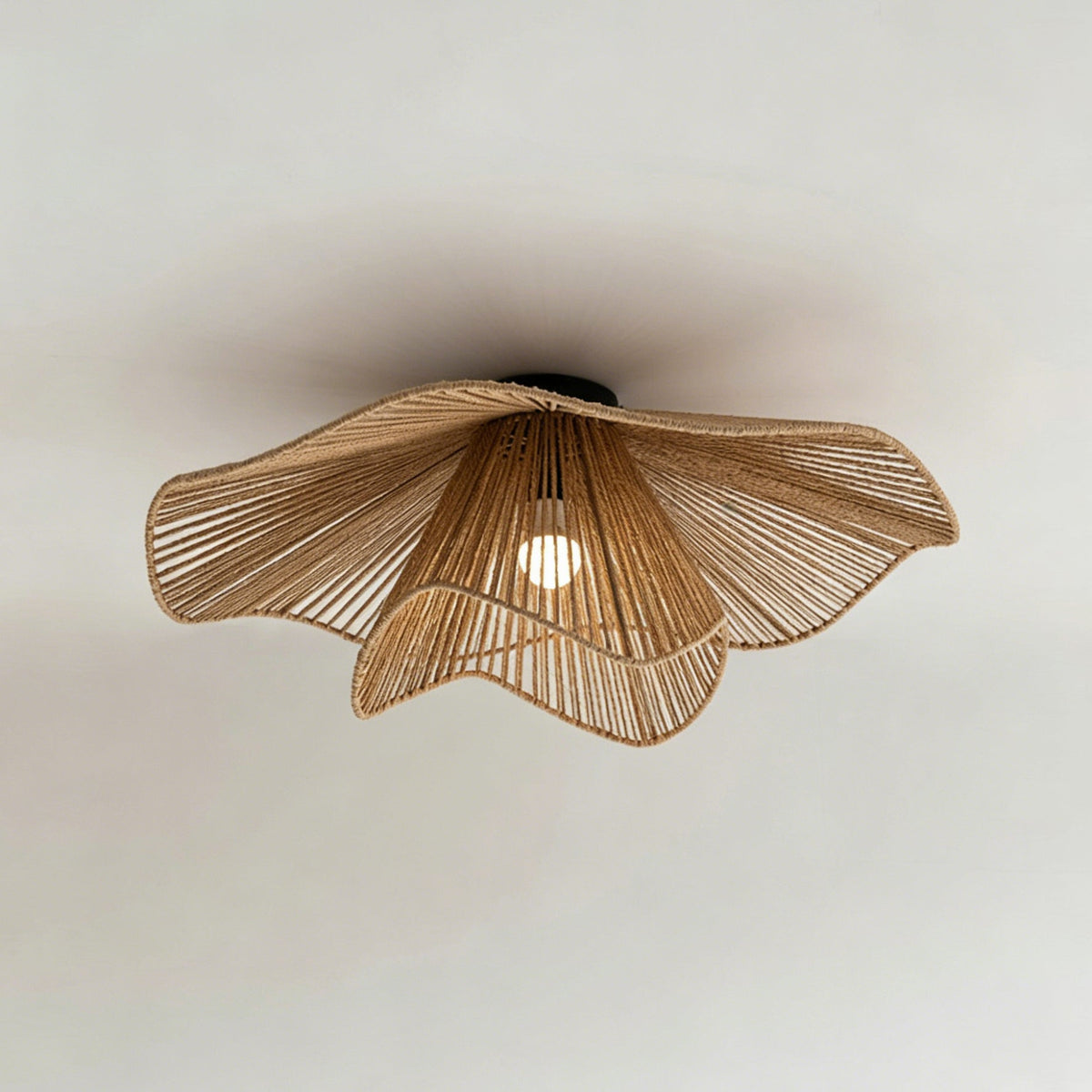 Liorariella Ceiling Light