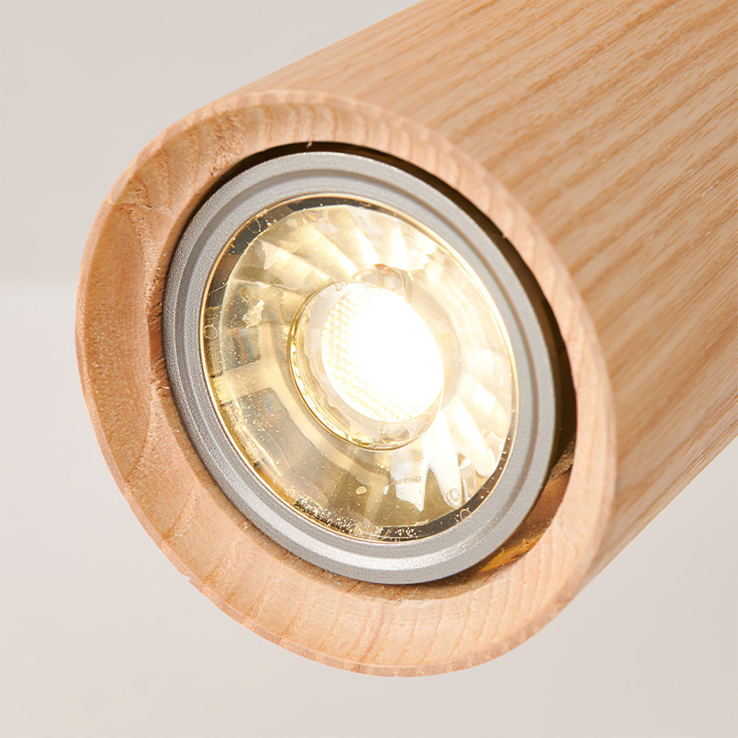 Ginemal Ceiling Light Spotlight