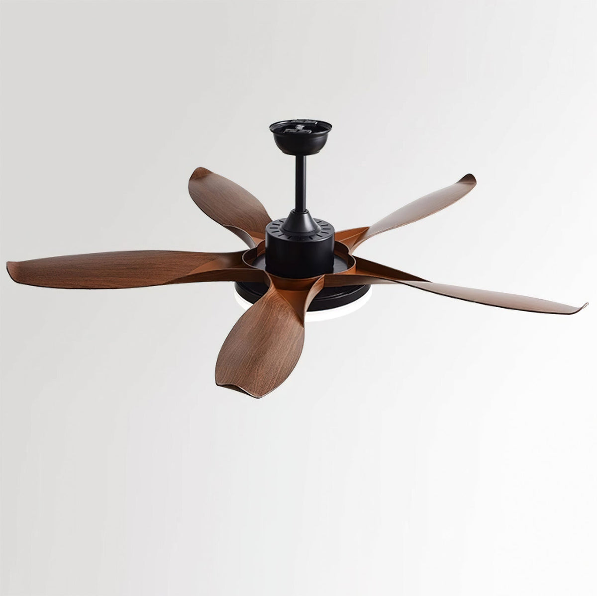 Liororeria Ceiling Fan Light