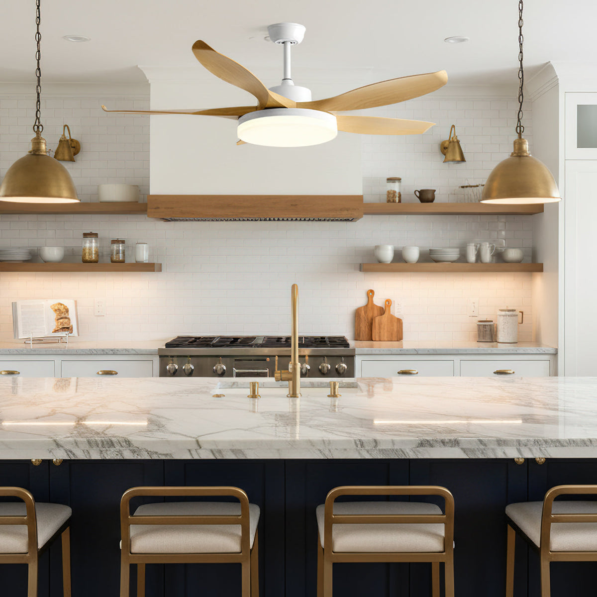 Liororeria Ceiling Fan Light