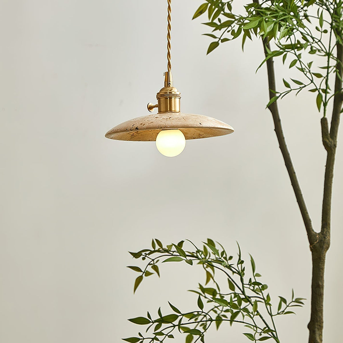 Calisia Pendant Light