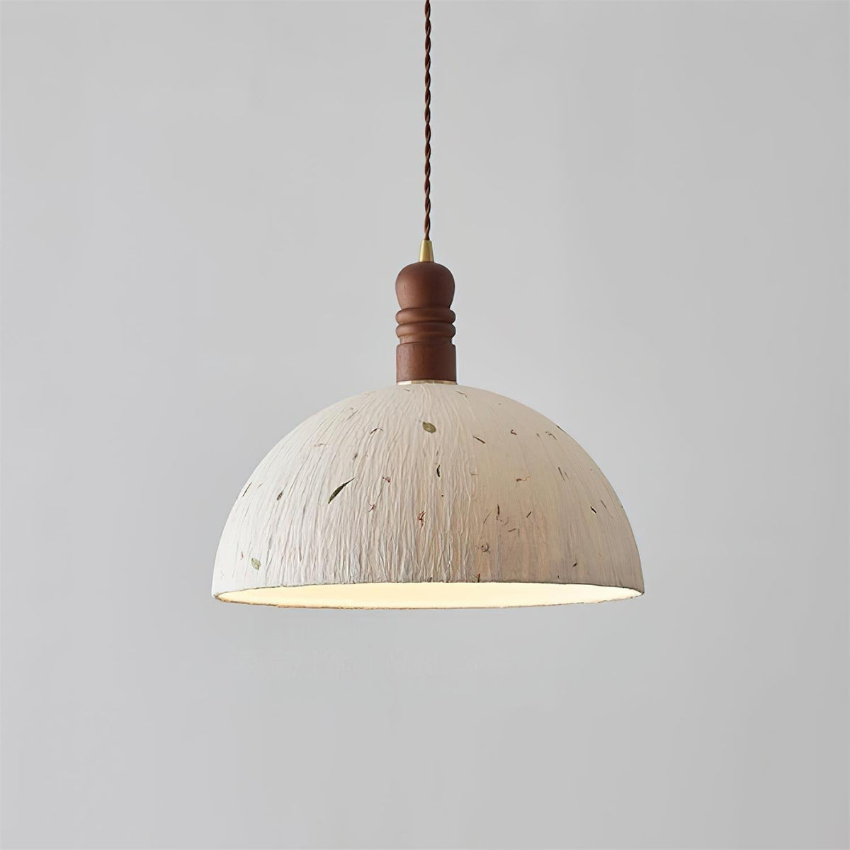 Lioroine Dome Pendant Lamp
