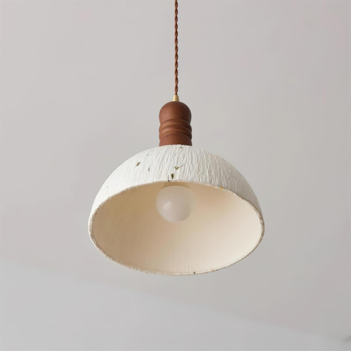 Lioroine Dome Pendant Lamp