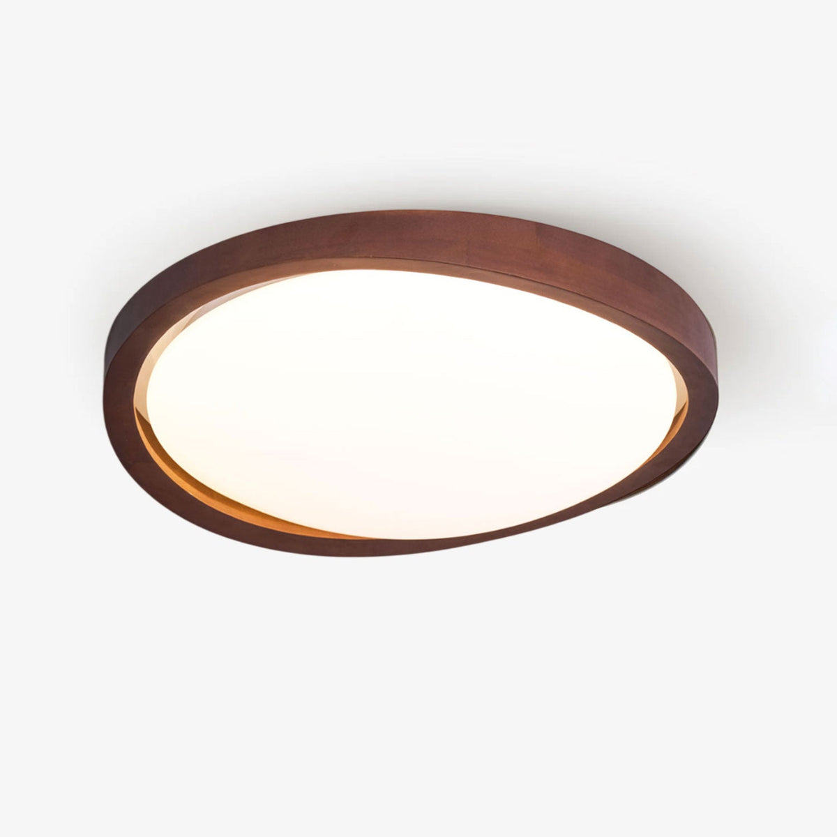 Sylvian Ceiling Light