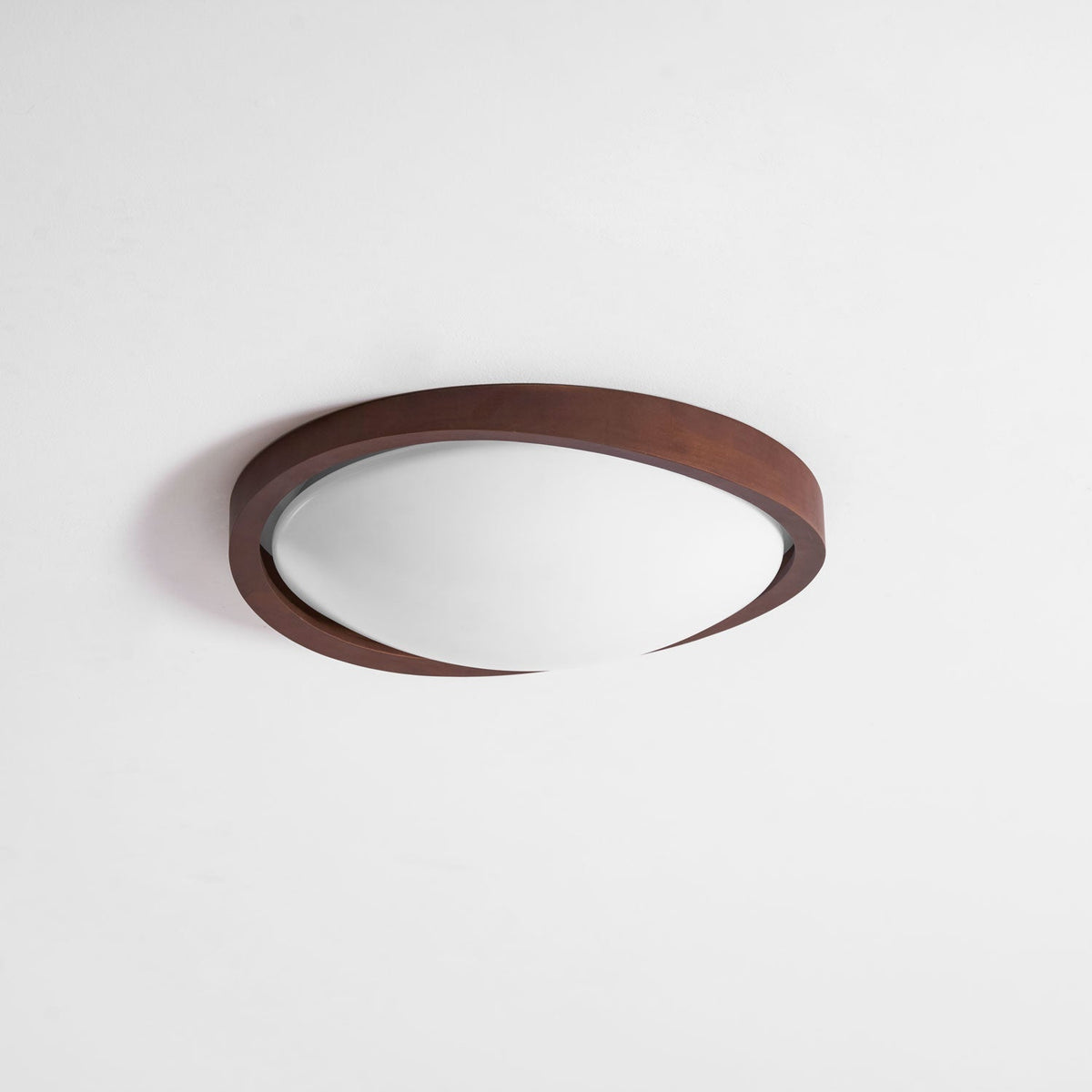 Sylvian Ceiling Light